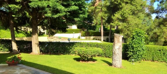 3 chambres Propriété commerciale à Chalkidiki, Greece No. 5696 29