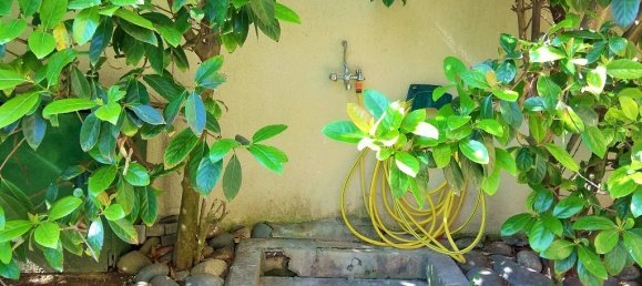 3 chambres Propriété commerciale à Chalkidiki, Greece No. 5696 10