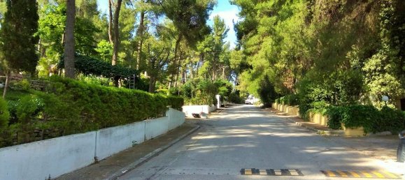 3 chambres Propriété commerciale à Chalkidiki, Greece No. 5696 8