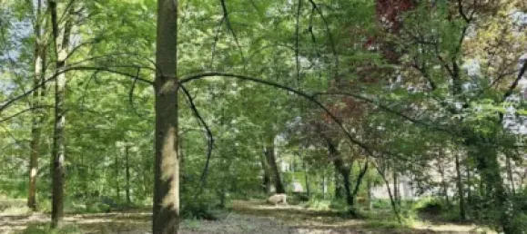 600m² Land in Barcelona, Spain No. 139315 5