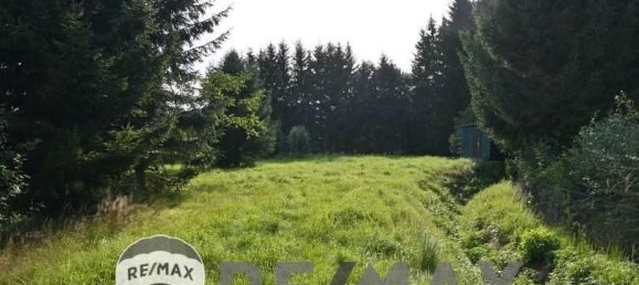 Imóvel comercial em Waidhofen an der Thaya, Austria N.º 89941 21