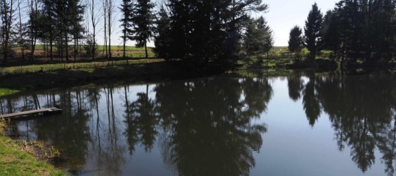 Imóvel comercial em Waidhofen an der Thaya, Austria N.º 89941 9