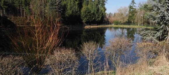 Imóvel comercial em Waidhofen an der Thaya, Austria N.º 89941 10