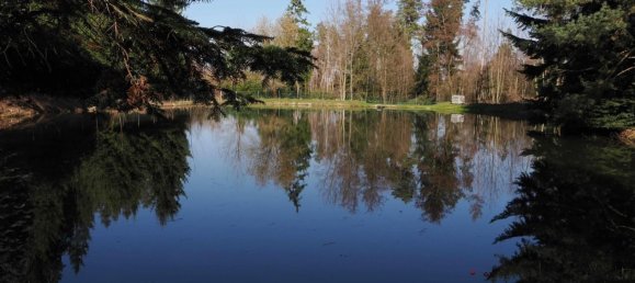 Imóvel comercial em Waidhofen an der Thaya, Austria N.º 89941 3