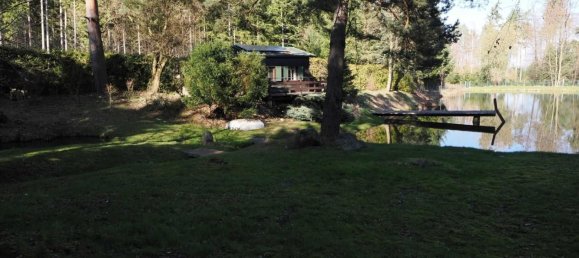 Imóvel comercial em Waidhofen an der Thaya, Austria N.º 89941 14