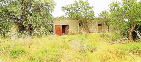 Gebäude in Guadalajara, Spain 1200m², Nr. 73856 35