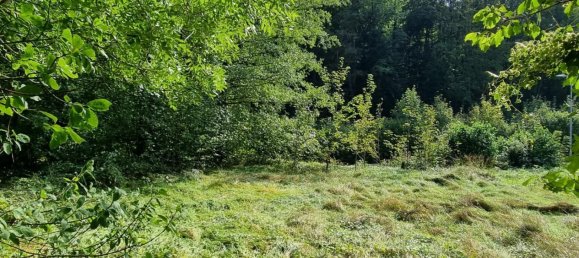  Land in Altlengbach, Austria No. 32685 3