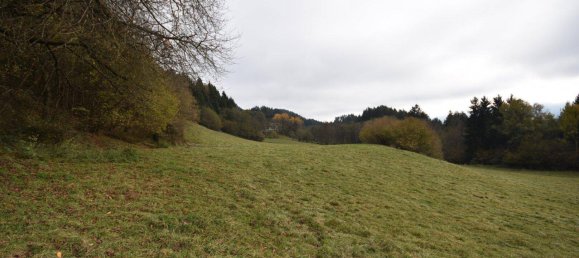 10 rooms Land in Spittal an der Drau, Austria No. 148166 6