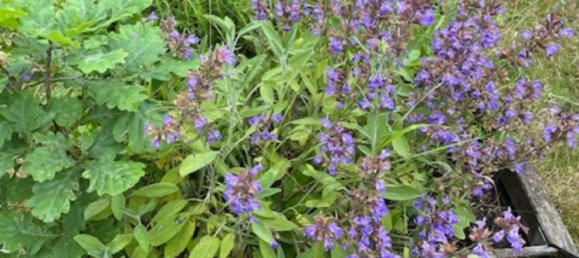 Land in Enzkreis, Germany No. 292491 15