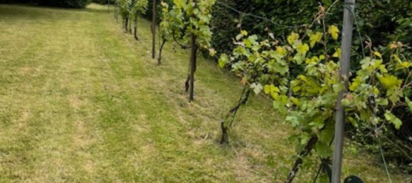 Land in Enzkreis, Germany No. 292491 13