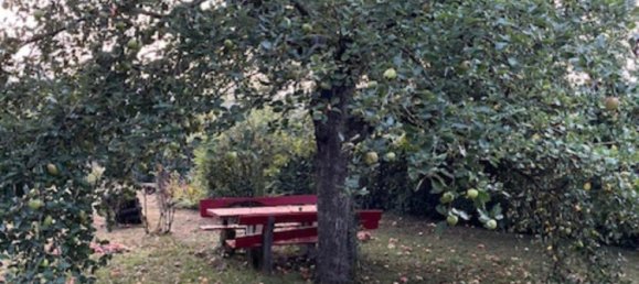 Land in Enzkreis, Germany No. 292491 16