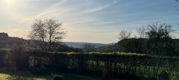 Land in Enzkreis, Germany No. 292491 7