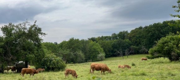 Land in Enzkreis, Germany No. 292491 18