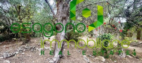 1 bedroom House in Syracuse, Italy No. 353438 5