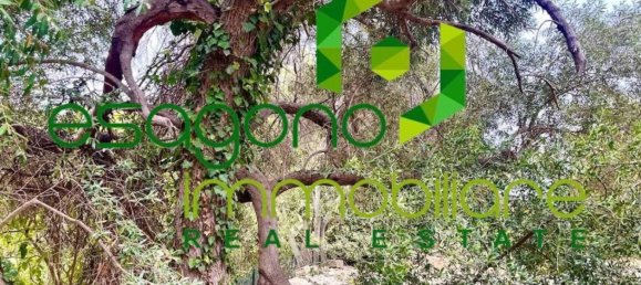 1 bedroom House in Syracuse, Italy No. 353438 18