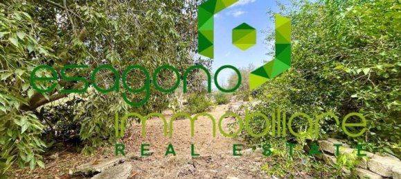 1 bedroom House in Syracuse, Italy No. 353438 14