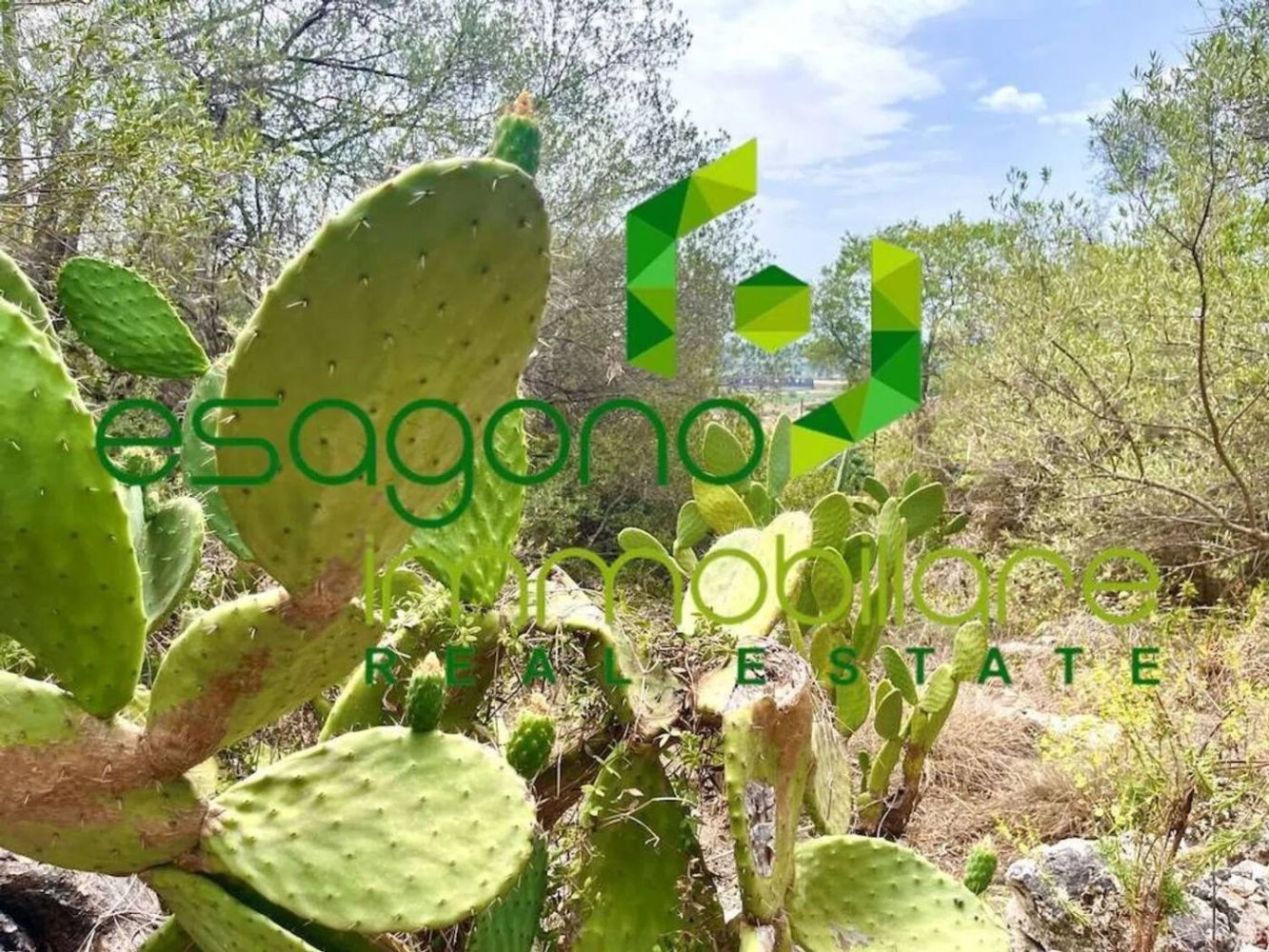 1 bedroom House in Syracuse, Italy No. 353438