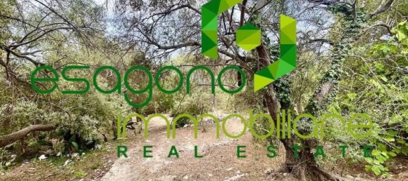 1 bedroom House in Syracuse, Italy No. 353438 3