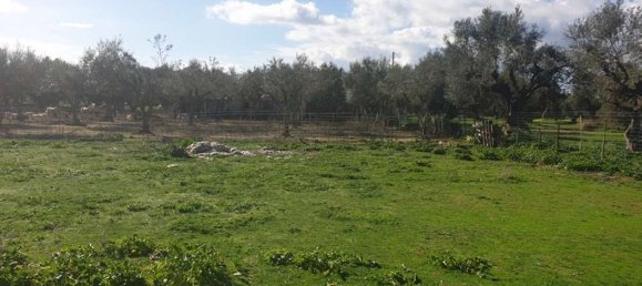  Hotel in Zakynthos, Greece No. 438 15