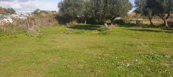  Hotel in Zakynthos, Greece No. 438 6