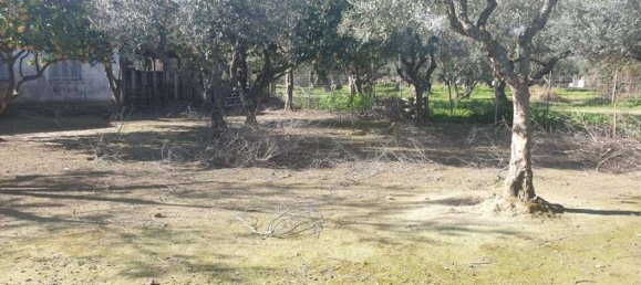  Hotel in Zakynthos, Greece No. 438 4