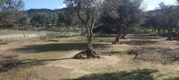  Hotel in Zakynthos, Greece No. 438 9