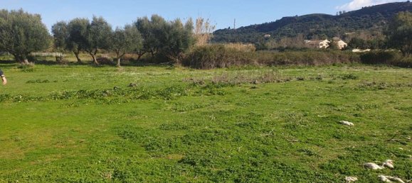  Hotel in Zakynthos, Greece No. 438 11