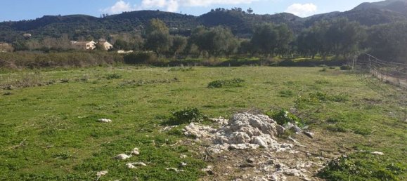  Hotel in Zakynthos, Greece No. 438 3