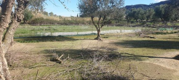  Hotel in Zakynthos, Greece No. 438 5