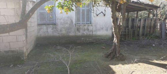  Hotel in Zakynthos, Greece No. 438 2