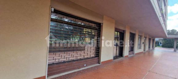 Lagerhaus in Scandicci, Italy 165m², Nr. 325321 2