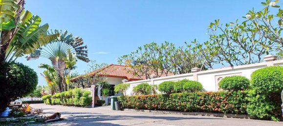 Cafe / Restaurant in Pattaya, Thailand 250m², Nr. 4920 11