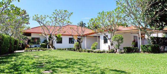 Cafe / Restaurant in Pattaya, Thailand 250m², Nr. 4920 15