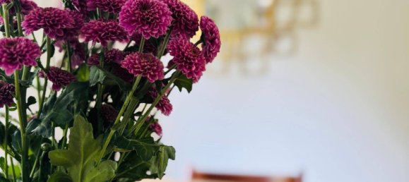 Дом с 5 комнатами в Вена, Австрия № 239411 21