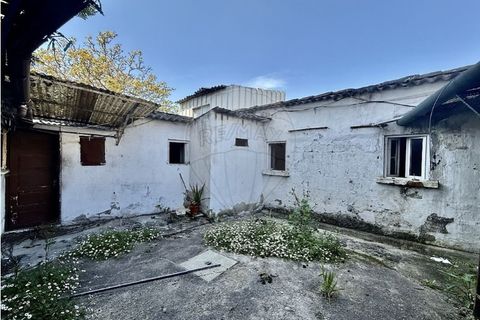 3 chambres Villa à Porto, Portugal No. 197415