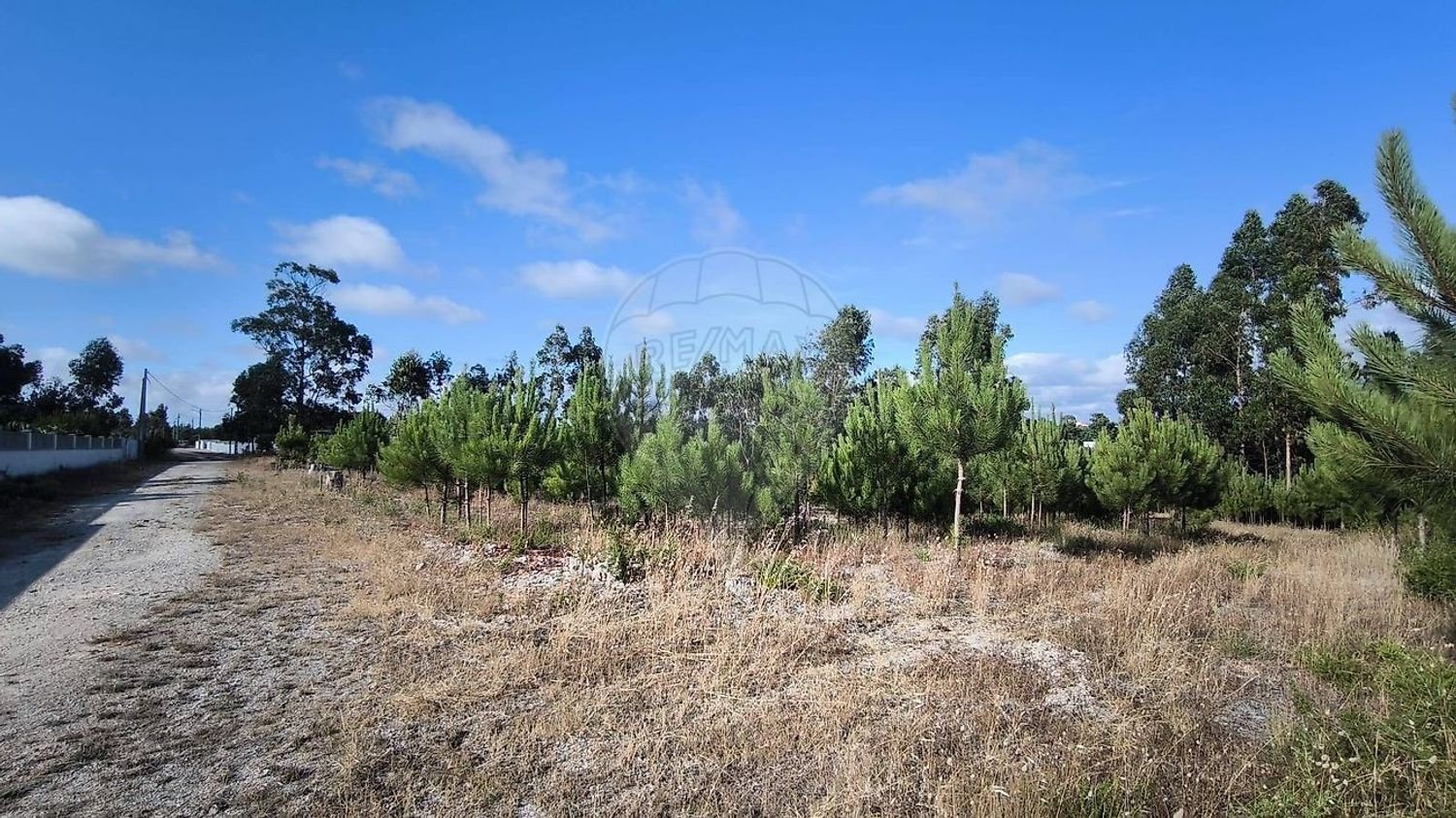  Land in Leiria, Portugal No. 193114