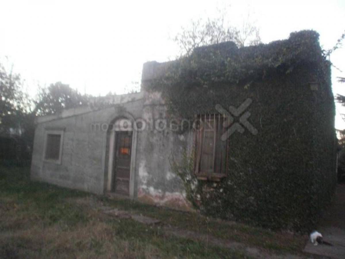 3 bedrooms Farm in Almirante Brown, Argentina No. 121788