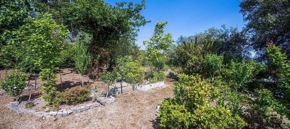 Casa de 4 dormitorios en Guimaraes, Portugal No. 178747 28