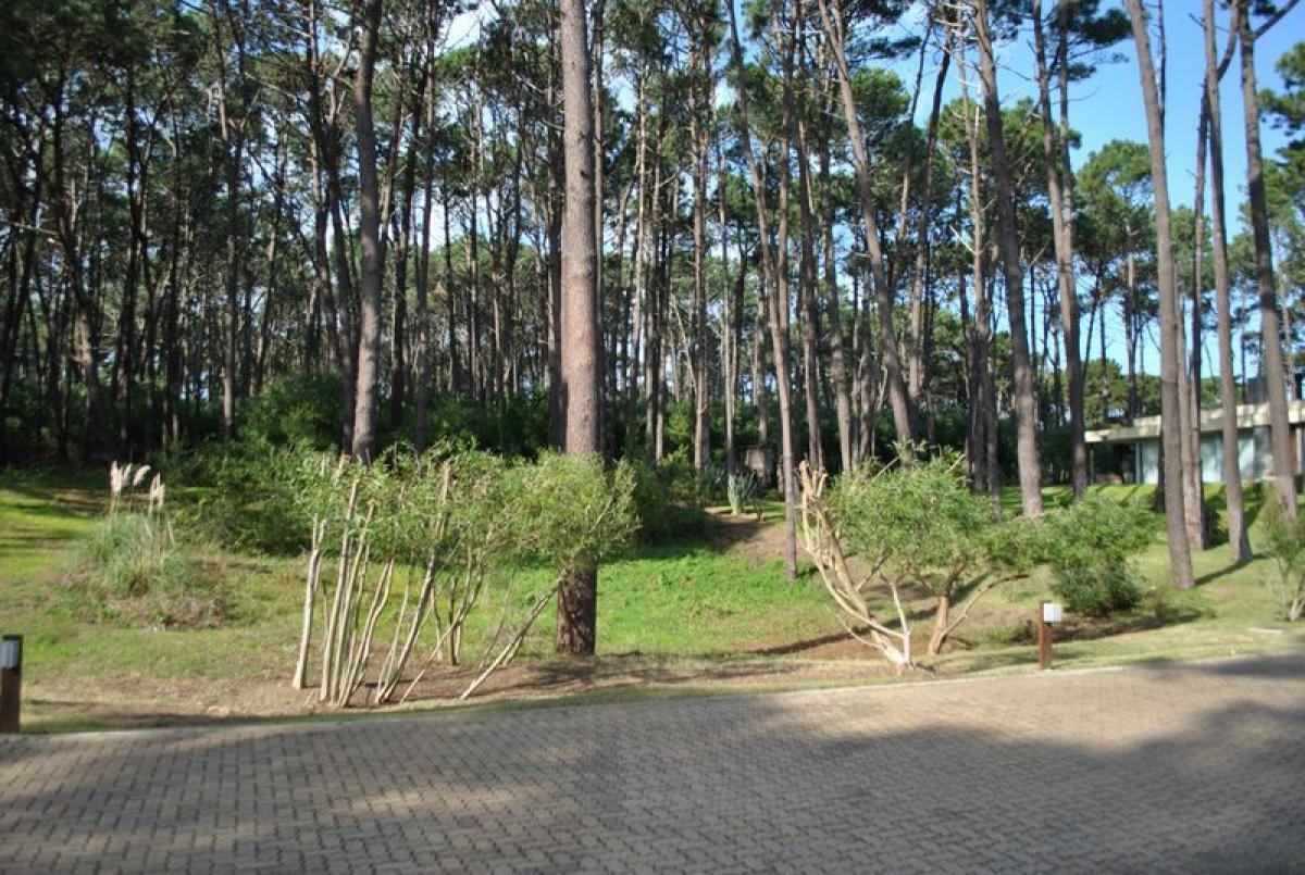 Земельный участок в Мальдонадо, Уругвай № 15477