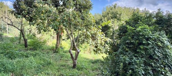 10 rooms Duplex in Avellino, Italy No. 324968 19