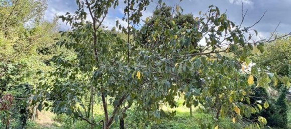 10 rooms Duplex in Avellino, Italy No. 324968 22