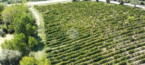 قطعة أرض في Giulianova, Italy 52920متر مربع رقم 314468 5