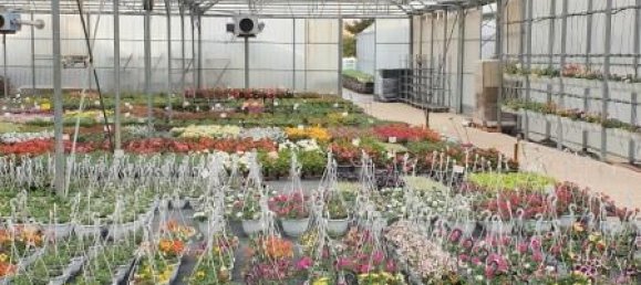 Casa T4 em Thionville, France N.º 86322 7