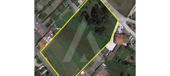 5490m² Land in Anadia, Portugal No. 89596 12
