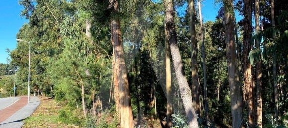 5490m² Land in Anadia, Portugal No. 89596 2