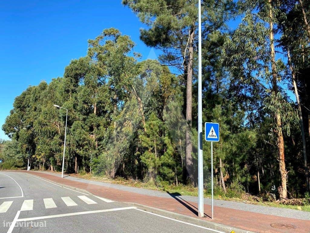 5490m² Land in Anadia, Portugal No. 89596