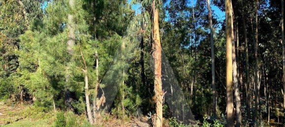 5490m² Land in Anadia, Portugal No. 89596 4