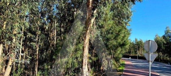 5490m² Land in Anadia, Portugal No. 89596 6