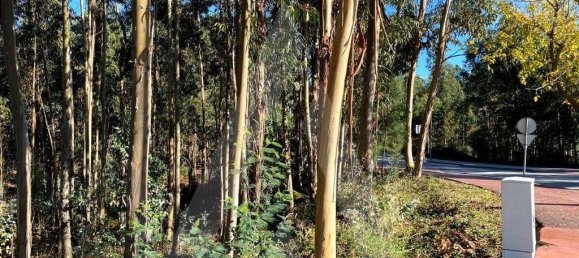 5490m² Land in Anadia, Portugal No. 89596 5