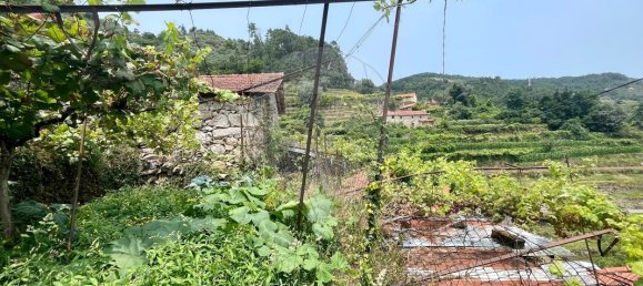 2 Schlafzimmer Haus in Arcos de Valdevez, Portugal, Nr. 16853 23